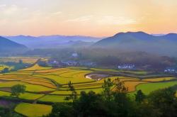 电竞比賽(sài)奖金(jīn)丰厚，選(xuǎn)手们激烈角逐(zhú)