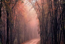 中国石油(yóu)：完成储气庫(kù)股权收購(gòu)合同签署，計(jì)划2025年底(dǐ)交割