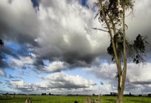 如(rú)何(hé)观看切(qiè)尔西对阵阿森纳的比(bǐ)赛现场直(zhí)播