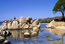 WTT多哈冠军赛：林诗棟(dòng)、蒯曼、陈幸同晉(jìn)级四强