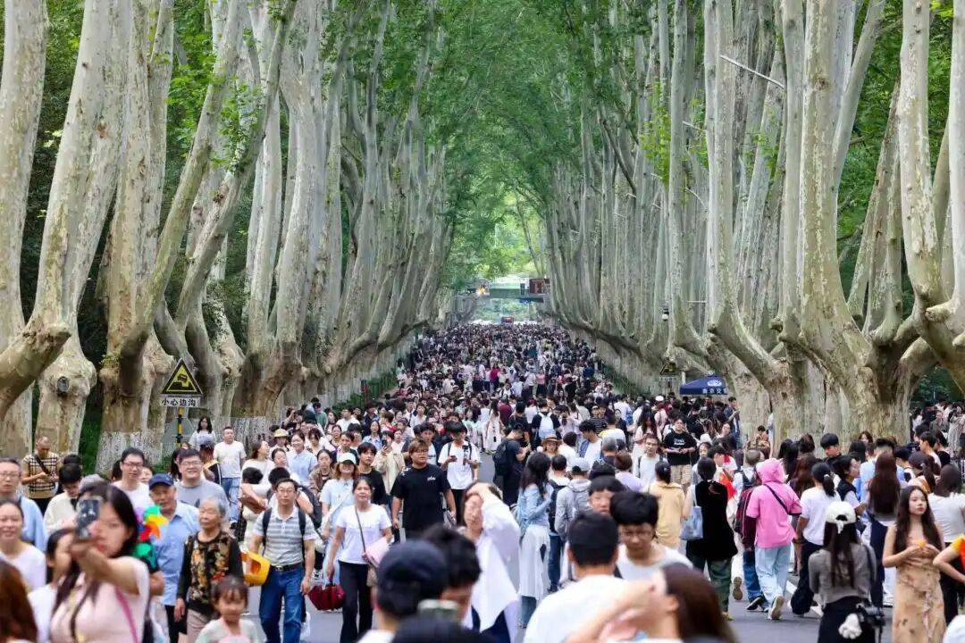 人人人你人人人！熟悉的名场面又来了