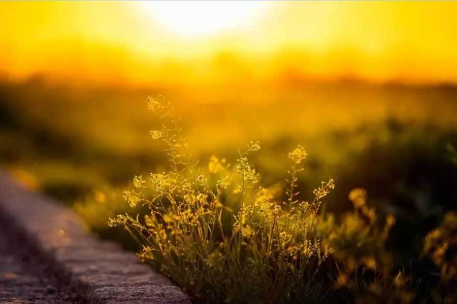 电竞选手在国际赛事中斩获佳绩