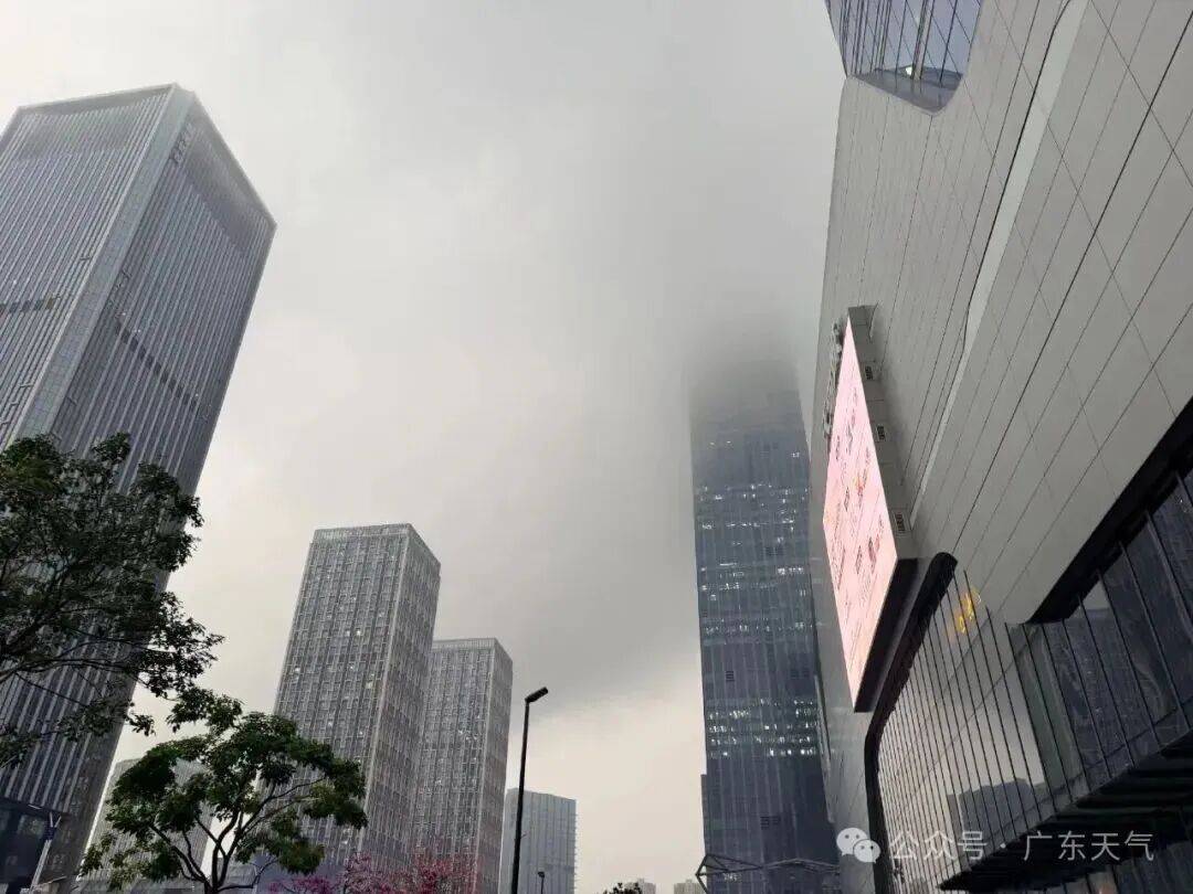 本周末，深圳天气将反转！