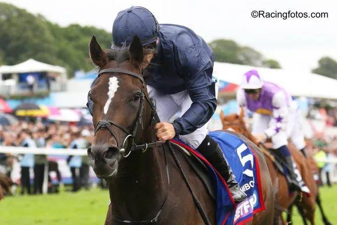 【盘点】中国赛驹赢下几场？2025全球国际赛马节暨重磅一级赛视频集锦