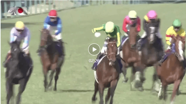 【盘点】中国赛驹赢下几场？2025全球国际赛马节暨重磅一级赛视频集锦