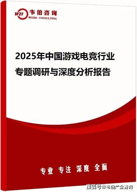 韦伯咨询：2025年中国游戏电竞行业专题调研与深度分析报告